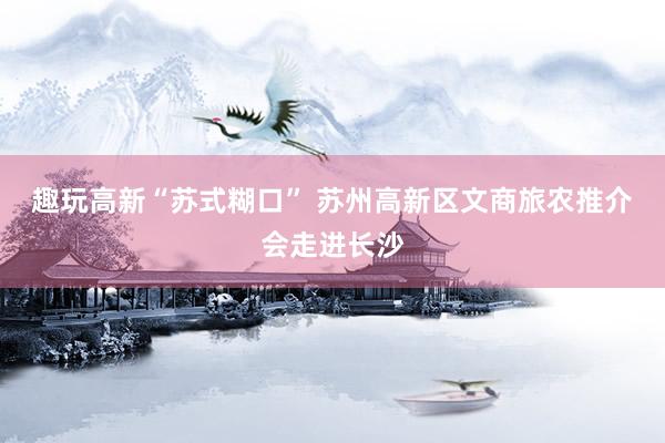 趣玩高新“苏式糊口” 苏州高新区文商旅农推介会走进长沙
